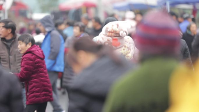 农村赶集 集市 农贸市场 乡村热闹 过年