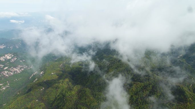 航怕伏牛山老界岭云海