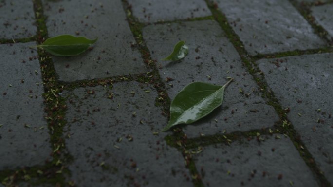 青石砖地上下雨落下的树叶空镜