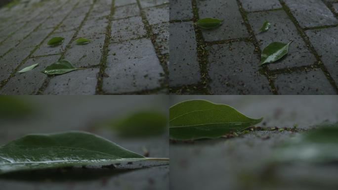 青石砖地上下雨落下的树叶空镜