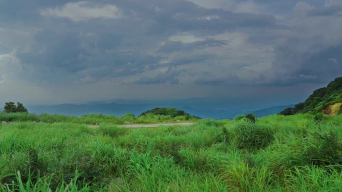 美丽山涧风吹草动