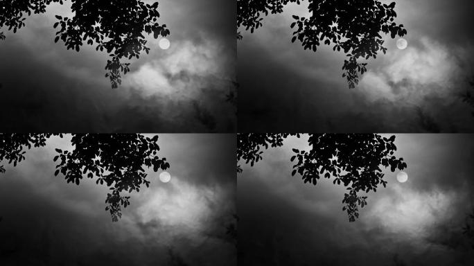 树梢月亮流云
