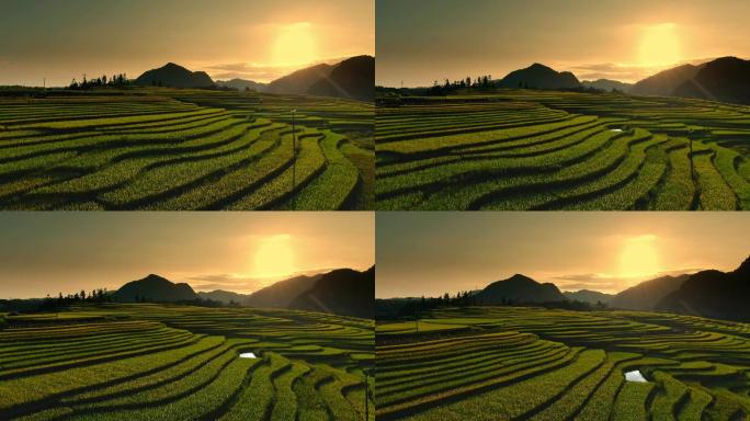 梯田日落航拍风光4k