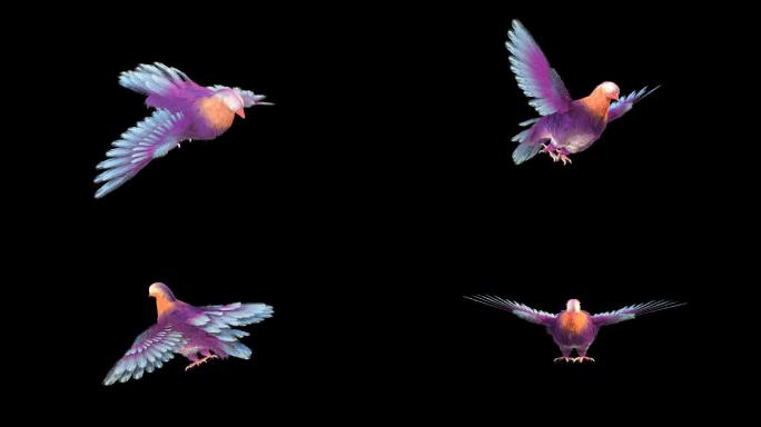 彩色吉祥的鸟飞翔循环透明动画视频素材