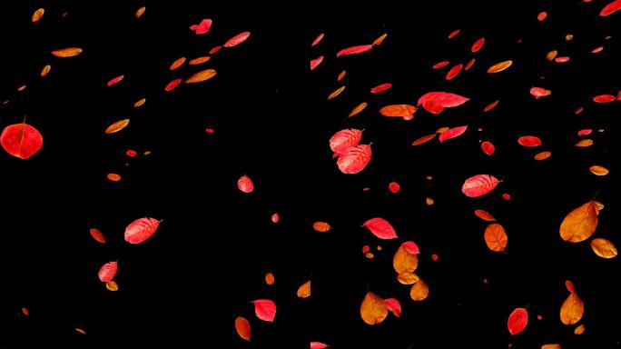 红叶飘落 带通道