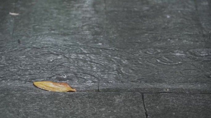 梅雨季潮湿的城市街道