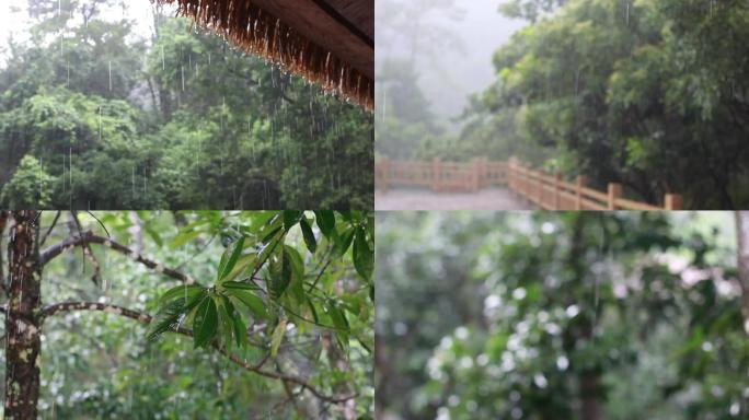 雨景 下雨