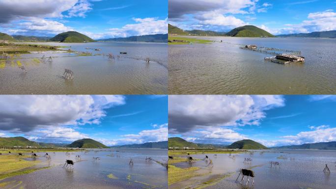 4K航拍香格里拉纳帕海依草原湖泊风景