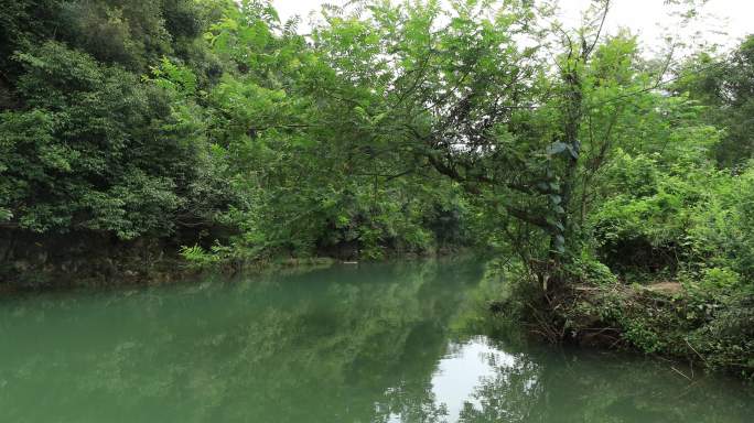 4K夏天小河漂流第一视角11