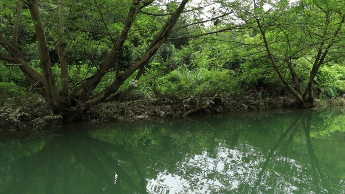 4K夏天小河漂流第一视角17