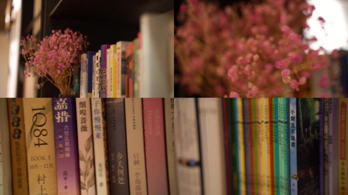 书架 阅读 书房 干花 粉色满天星 安静