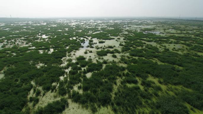 大庆风景航拍 沼泽地