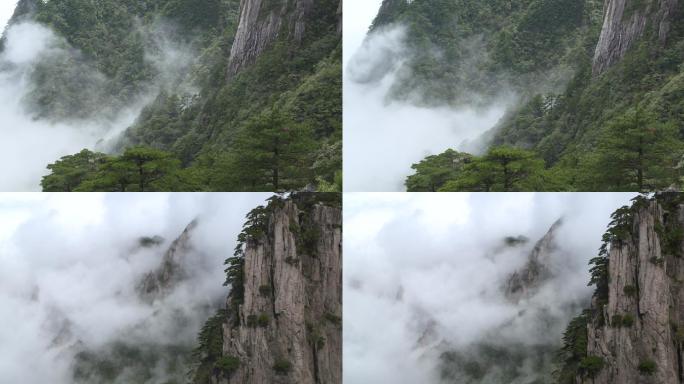 黄山松柏间的云海