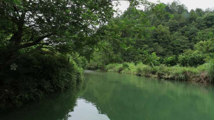 4K夏天小河漂流第一视角07