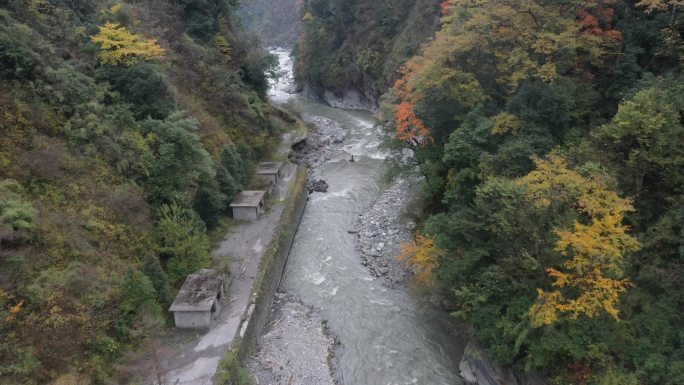 航拍川西秋色峡谷小溪2