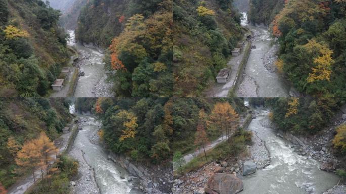 航拍川西秋色峡谷小溪2