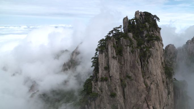 黄山云海 山顶松树