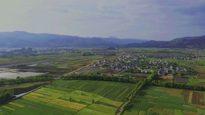 大理 剑川 高原 湖泊  牛羊群