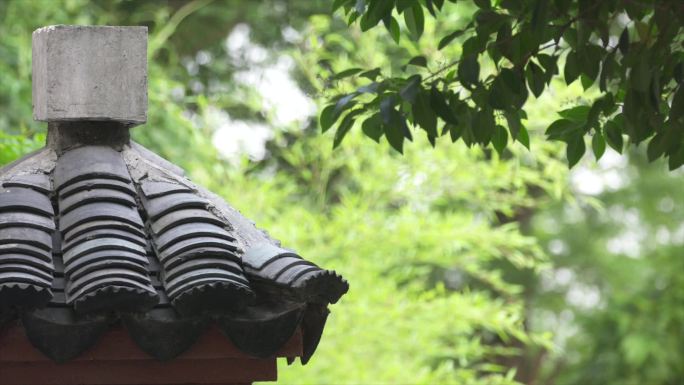 靖江孤山寺建筑特写猫咪空镜A006