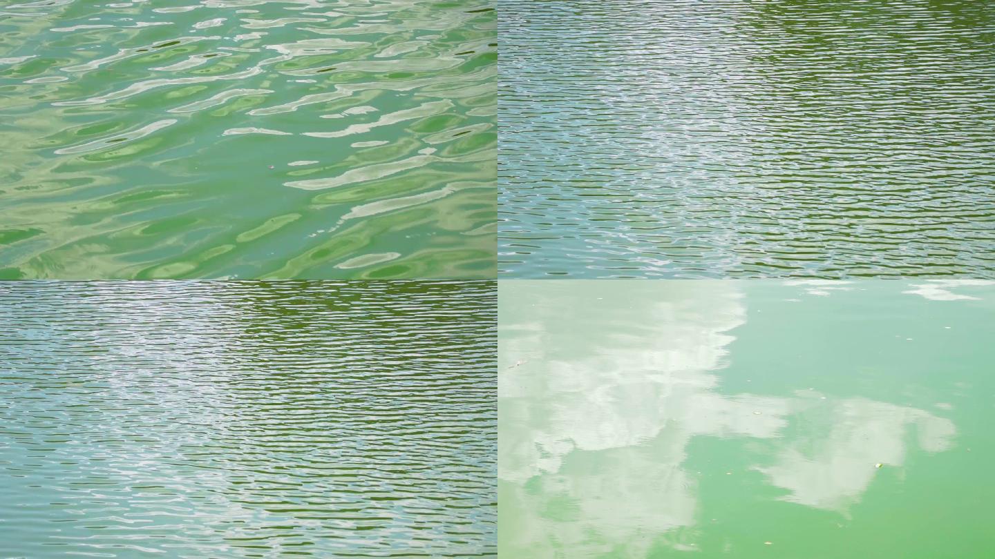 绿色湖水湖面波光粼粼