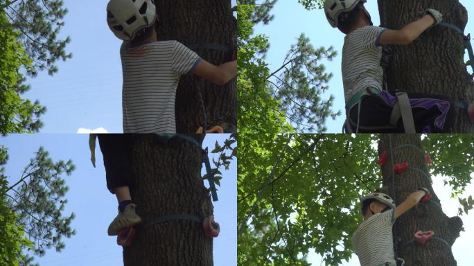 男孩敏捷的爬上一颗大树