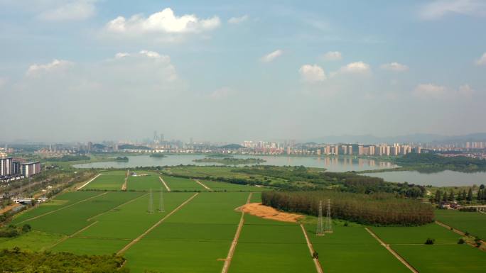 杭州南湖公园