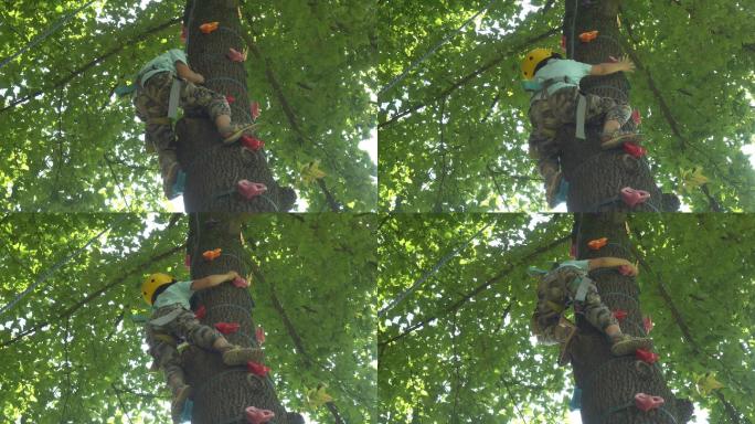 正在爬树的小男孩