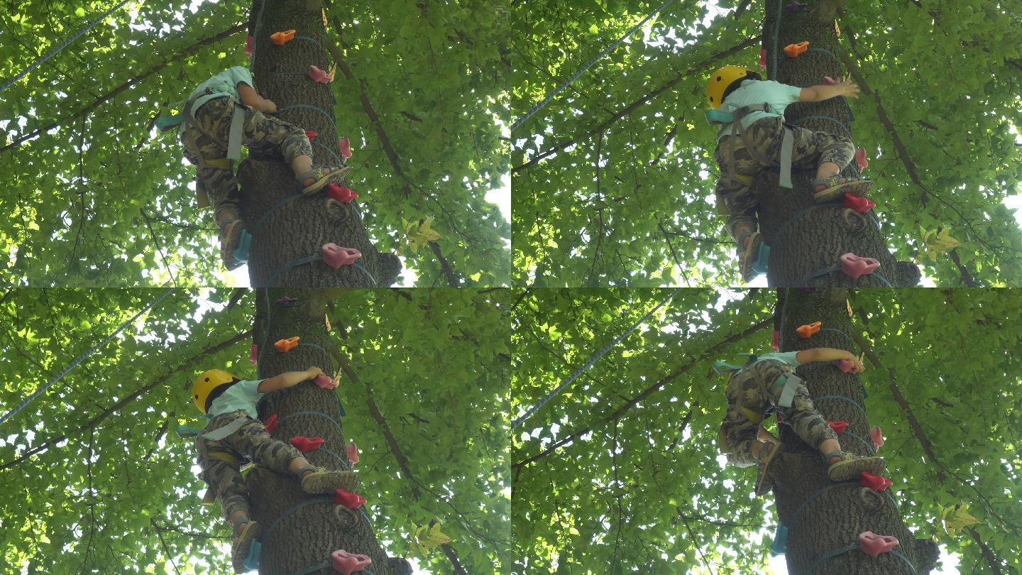 正在爬树的小男孩