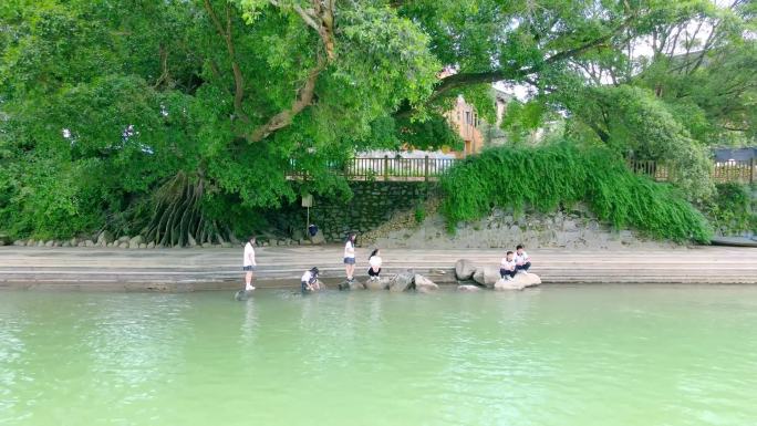 学生河边大树下玩耍戏水