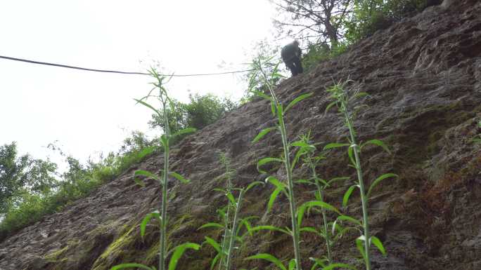 遭遇山体滑坡的被困人员通过绳索速降到地面