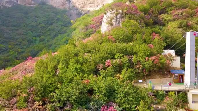 航拍红叶 枫叶 深秋 风景 太行山