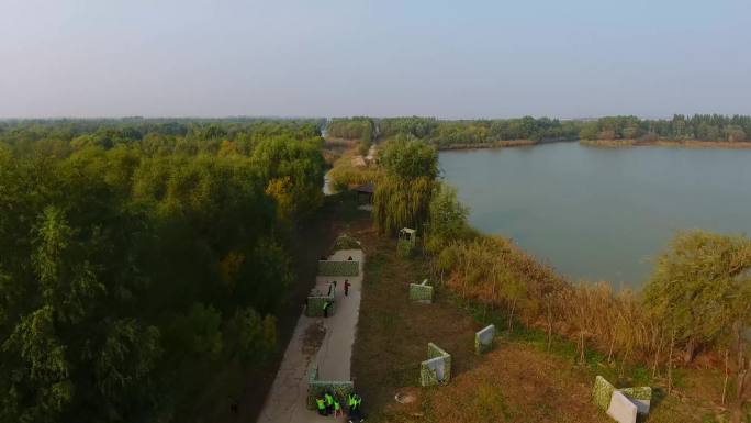 4K湿地 济西湿地 游船 天鹅 湖 游园