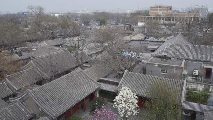 北京胡同 胡同全景 俯瞰胡同