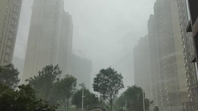 大暴雨 雨 洪涝