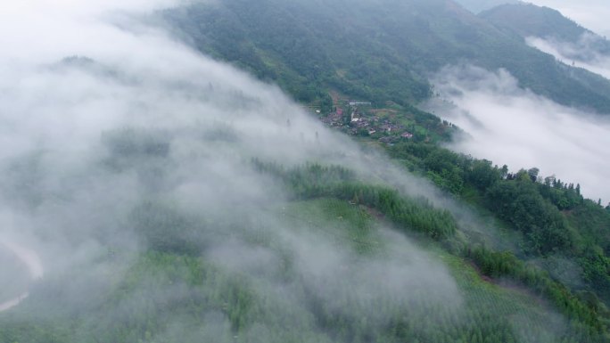 唯美意境山涧雾色自然风光背景