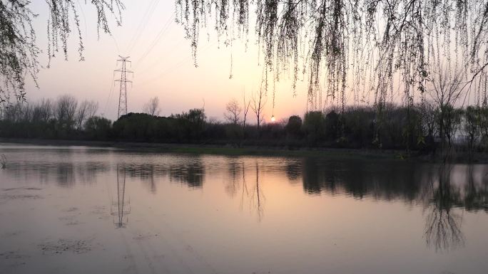 河边垂柳夕阳
