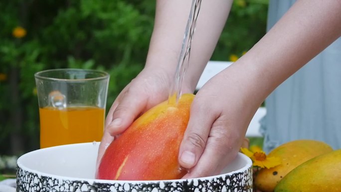 户外野餐芒果