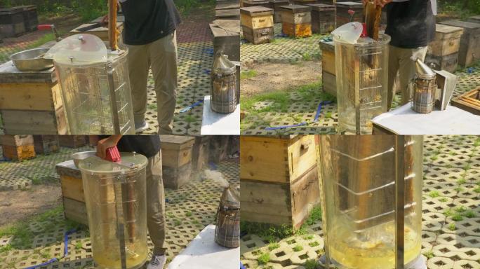 天然蜂蜜加工