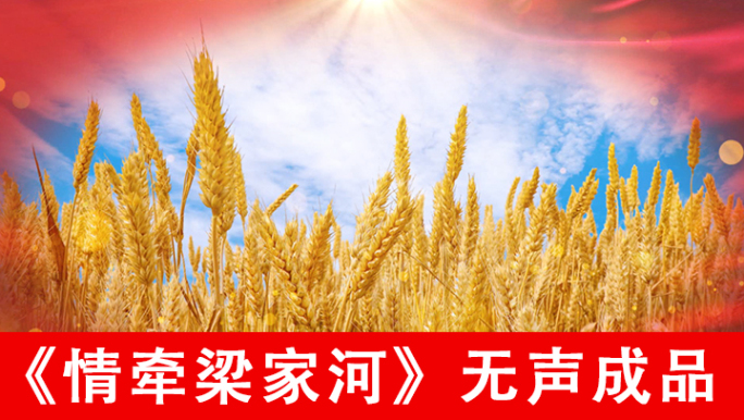 情牵梁家河配乐成品