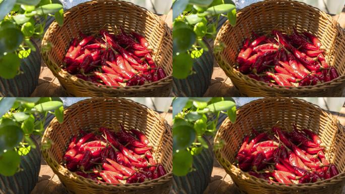 4K晒辣椒阳光光影延时