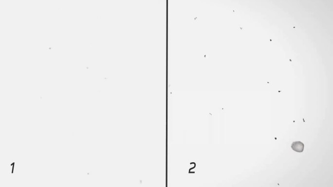 老电视噪点素材