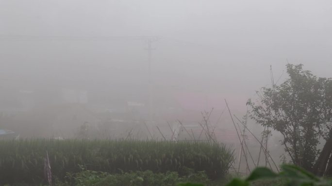 乡村、雾天、早晨