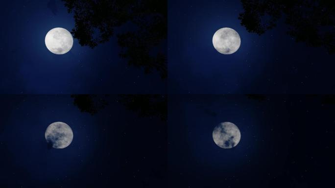 月亮树梢月黑风高