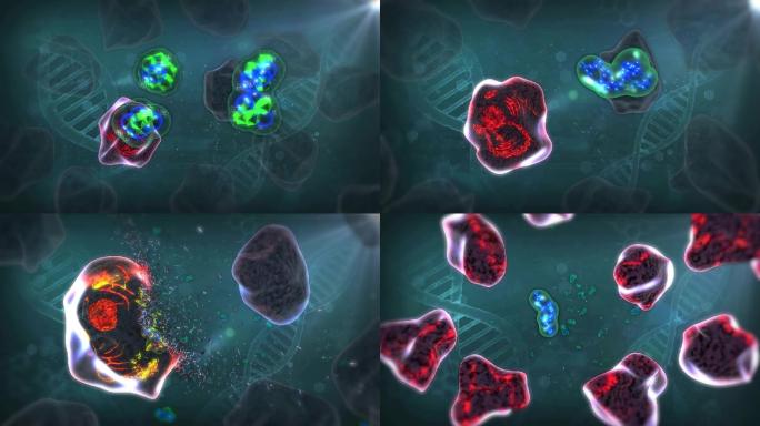 药物因子破坏癌细胞dna复制溶解癌细胞核