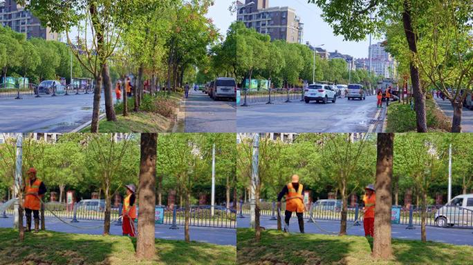 道路绿化、市政环卫给树浇水