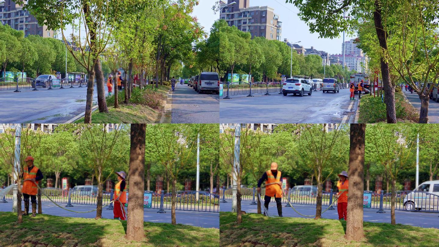 道路绿化、市政环卫给树浇水