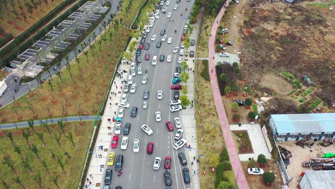 实拍景区道路车流