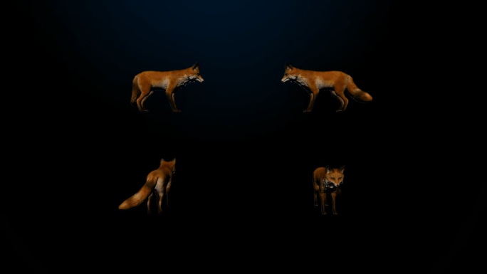 次时代狐狸【带Alpha通道】