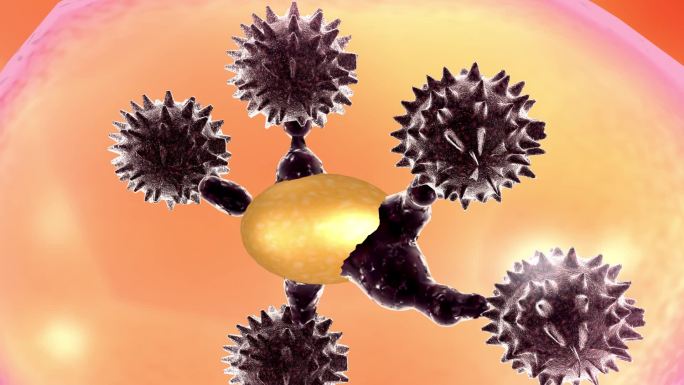 阻断病毒复制细胞免疫