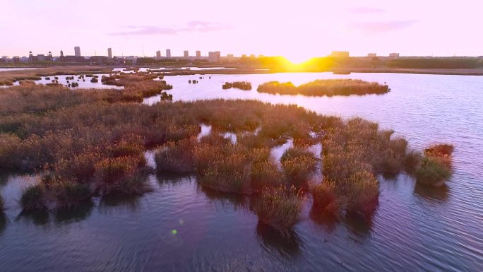 高清航拍湿地与城市与自然融合